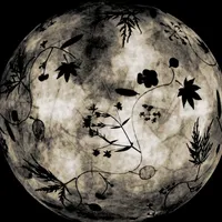 original sound - mpeg.4