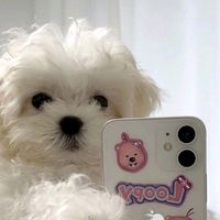 maryz716
