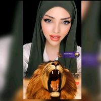 lionesmaram14.5at