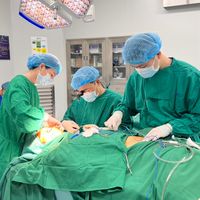 drparkplasticsurgery