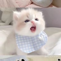mggg_1