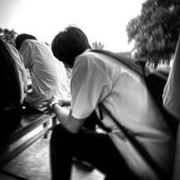 taiy_2010_