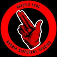 original sound - 876gad.promo