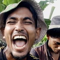 suara asli - king-amad