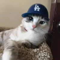 original sound - hhundredbrokenhearts