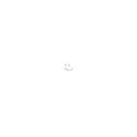 da_da1310