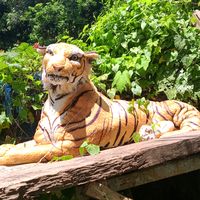 mamaharimau0