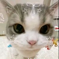 sabina.gurung718