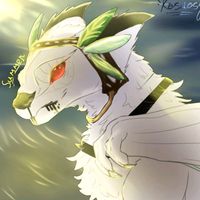 dragons_summer