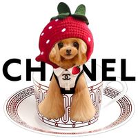 オリジナル楽曲 - ティーカップ💗シャネル🧸☕💕