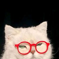 original sound - Orn🌷