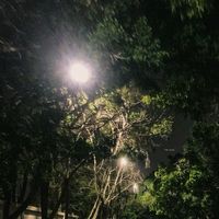 original sound