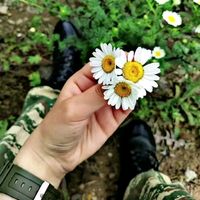 tarix__yazanlar