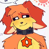 sunmoon.official_224.vn