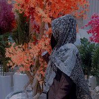 almira2062