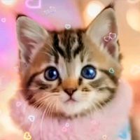 オリジナル楽曲 - よっちT
