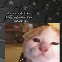 不得不愛 _ Không thể không yêu