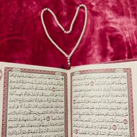 imane.fares7