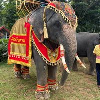 buangam06582