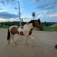 original sound - vertaocatireiro