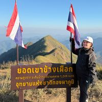 เสียงต้นฉบับ - Nan'ny Freedom