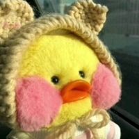 original sound - zon pwint