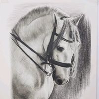 rafidhi72