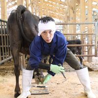 オリジナル楽曲 - 田中一馬 但馬牛農家の精肉店・田中畜産