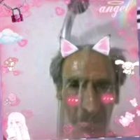 luly4395