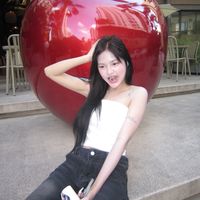 yy_12201