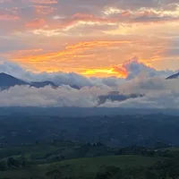 original sound - cardenas_571