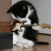 original sound