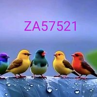 zulfiqarali4635