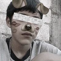 lnsano53