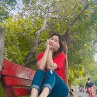 lay.lay3577