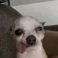 لعبتكم ذي سهله