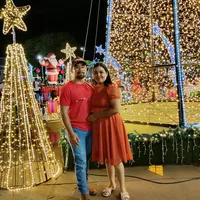 original sound - japamsagro