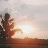 เสียงต้นฉบับ - สตอรี่❤️