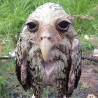 Been a year daddy