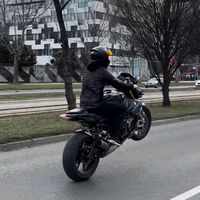 topalovicmak_