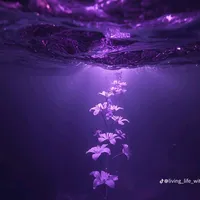 original sound - temosho.polite