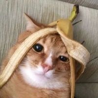 오리지널 사운드 - 이센찌
