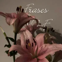 original sound - frases_m_f_