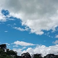 tumusicas