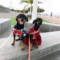ckloy.y.rocky
