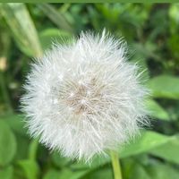 nhạc nền - Góc Suy Ngẫm