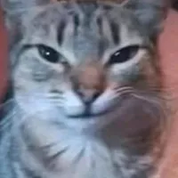 original sound - aleks_dobr