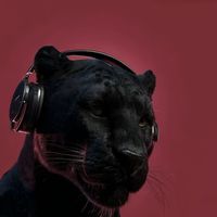 ii0_ms