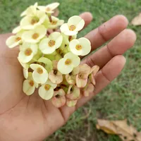 original sound - yourgurlceebai