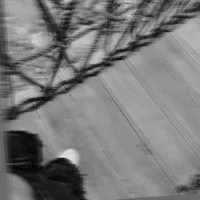 original sound - bian_g_13